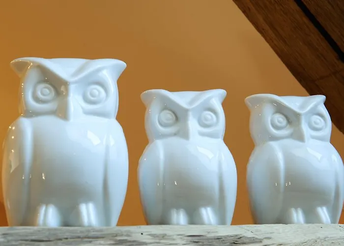 La Des Chouettes Bed & Breakfast